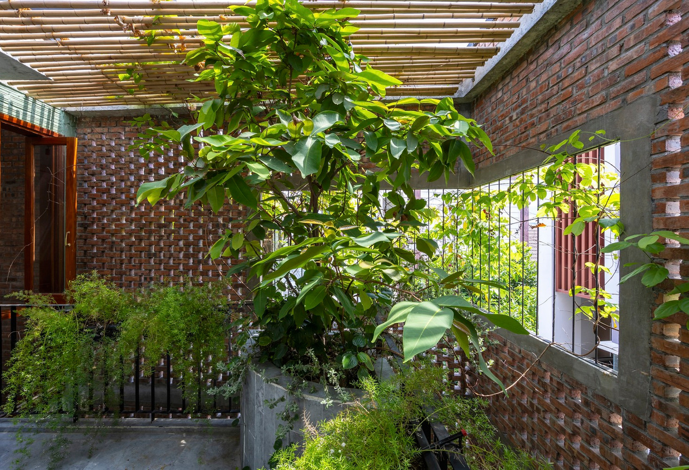 Đồng thời, gia chủ mong muốn ngôi nhà có nhiều ánh sáng khuếch tán, có vườn cây và không khí trong lành. Đồng thời, gia chủ mong muốn ngôi nhà có nhiều ánh sáng khuếch tán, có vườn cây và không khí trong lành.