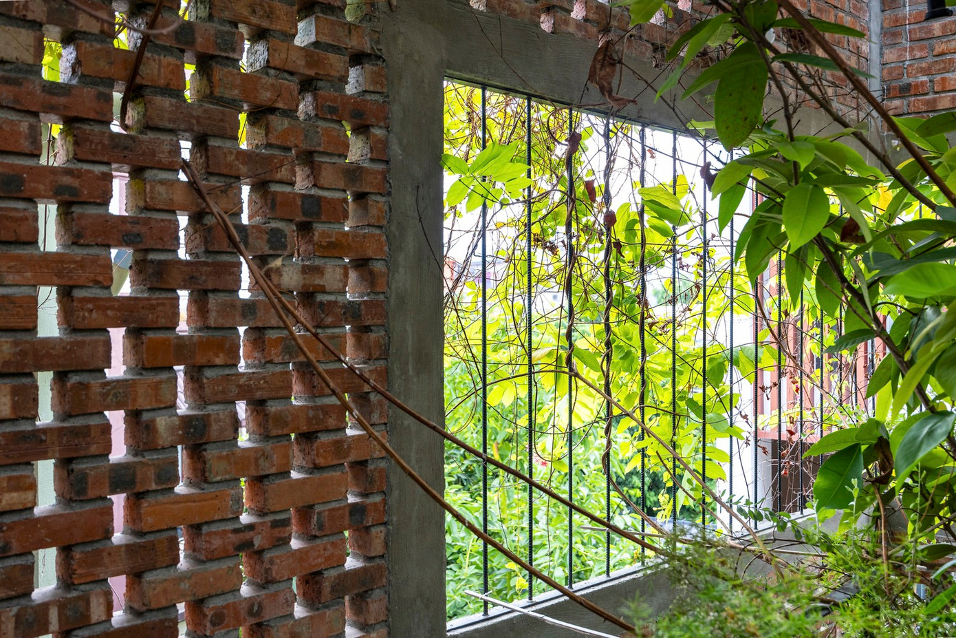 Theo thời gian, những khoảng trống này sẽ cung cấp một môi trường lý tưởng cho cây leo, bổ sung thêm yếu tố tự nhiên, phát triển cho mặt tiền. Theo thời gian, những khoảng trống này sẽ cung cấp một môi trường lý tưởng cho cây leo, bổ sung thêm yếu tố tự nhiên, phát triển cho mặt tiền.