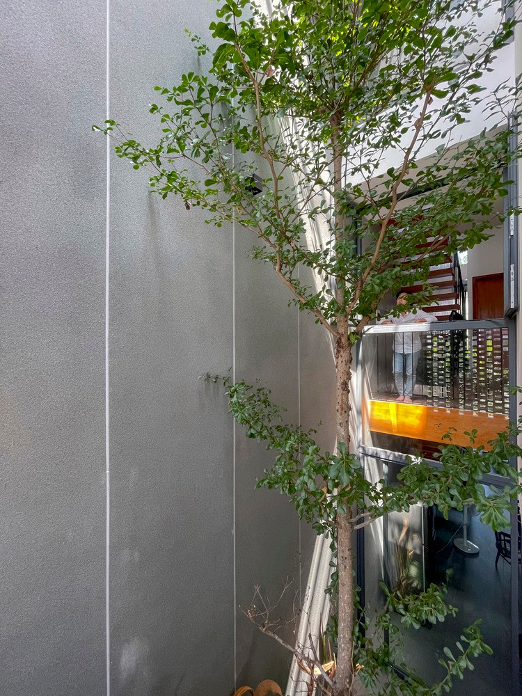 Trong đó, một thảm thực vật tươi tốt được bố trí ở giữa để điều hòa không khí cho cả ngôi nhà.