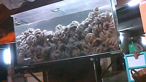 Dồi trường thối được đưa về cơ sở của ông Tuấn ở quận 8 (TP.HCM) vào đêm 6-4 - Ảnh chụp từ camera. Dồi trường thối được đưa về cơ sở của ông Tuấn ở quận 8 (TP.HCM) vào đêm 6-4 - Ảnh chụp từ camera