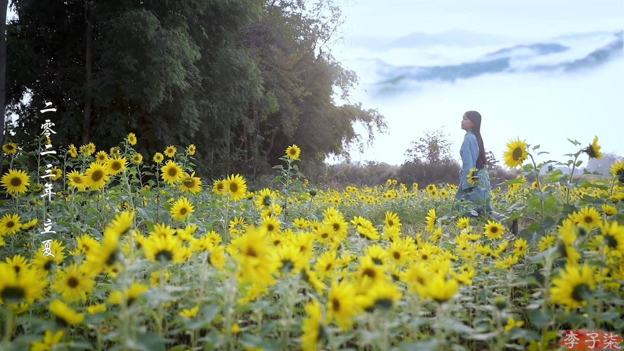 Khung cảnh thơ mộng trong các video của Lý Tử Thất. Khung cảnh thơ mộng trong các video của Lý Tử Thất.