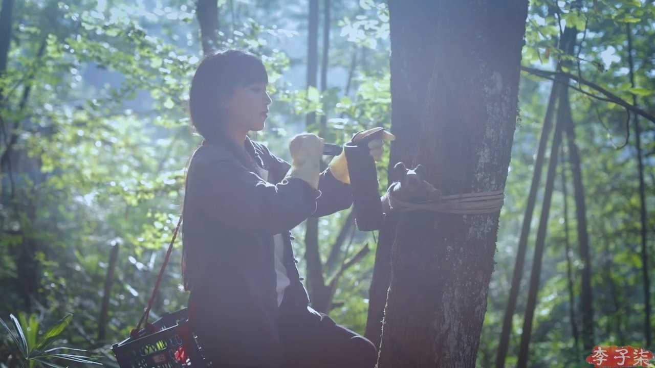 Tiên nữ đồng quê tỉ mỉ thu hoạch nguyên liệu để làm mực sơn mài. Tiên nữ đồng quê tỉ mỉ thu hoạch nguyên liệu để làm mực sơn mài.