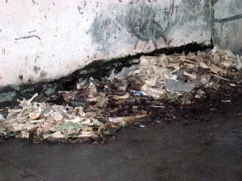 Lông chó bừa bãi ở cống công cộng Ruồi nhặng bu đầy rác thải Xương chó đầy đường Lông chó chất đầy, chờ người đến chở đi