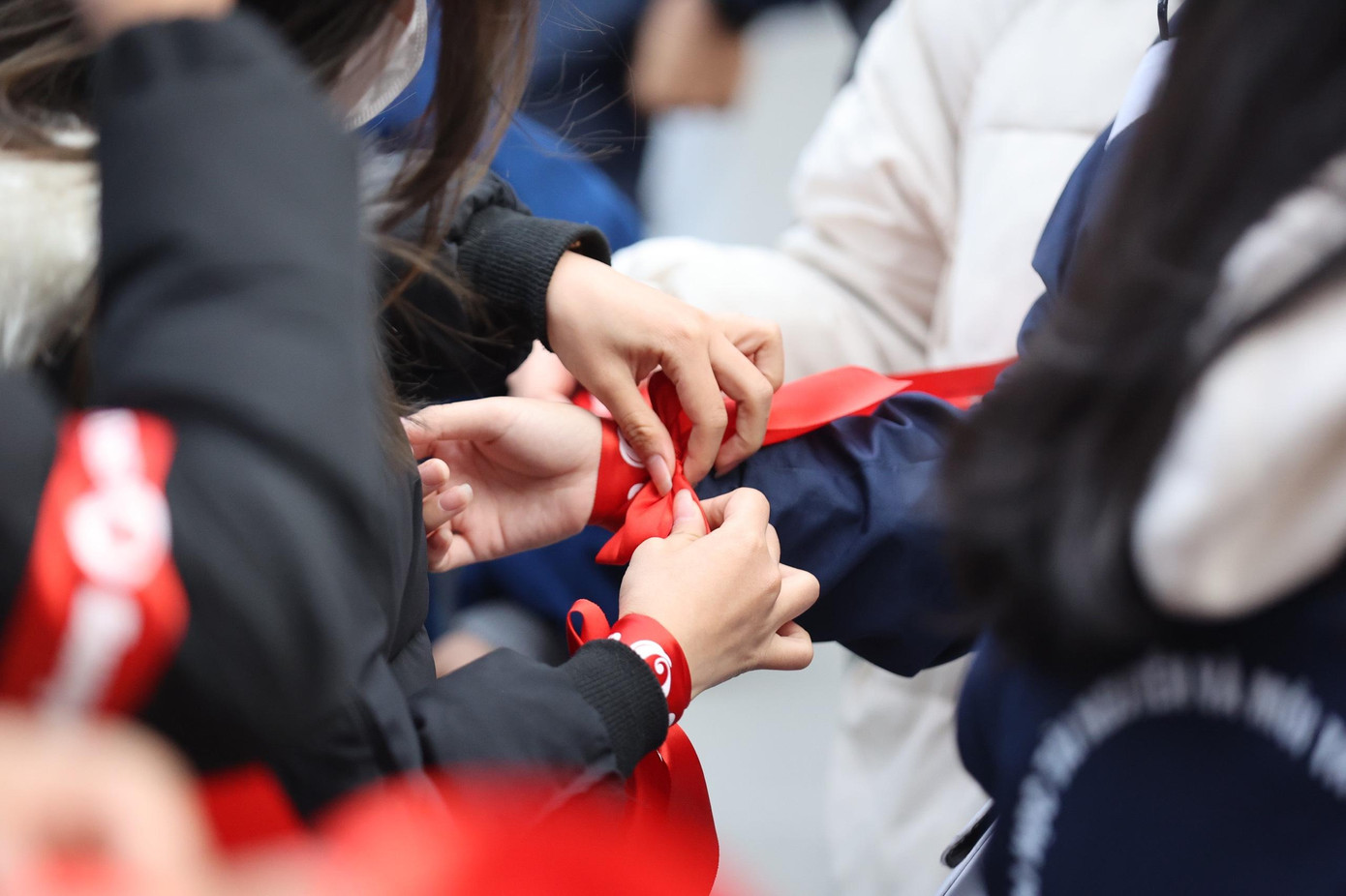 Chủ nhật Đỏ lần thứ XV - năm 2023: Giọt máu nghĩa tình ảnh 14