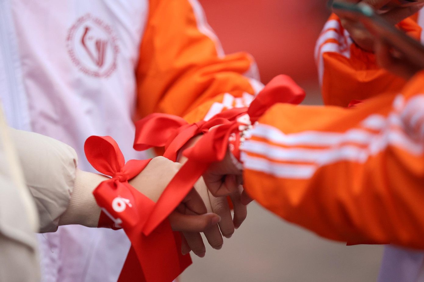 Chủ nhật Đỏ lần thứ XV - năm 2023: Giọt máu nghĩa tình ảnh 13