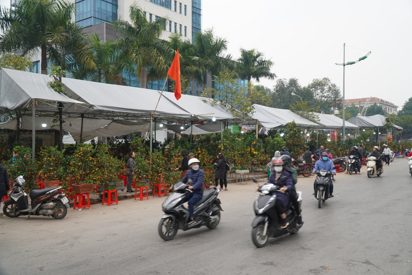 Sức mua giảm so với mọi năm, nhiều cây cảnh đẹp ở nhiều điểm bán vẫn chưa có người mua