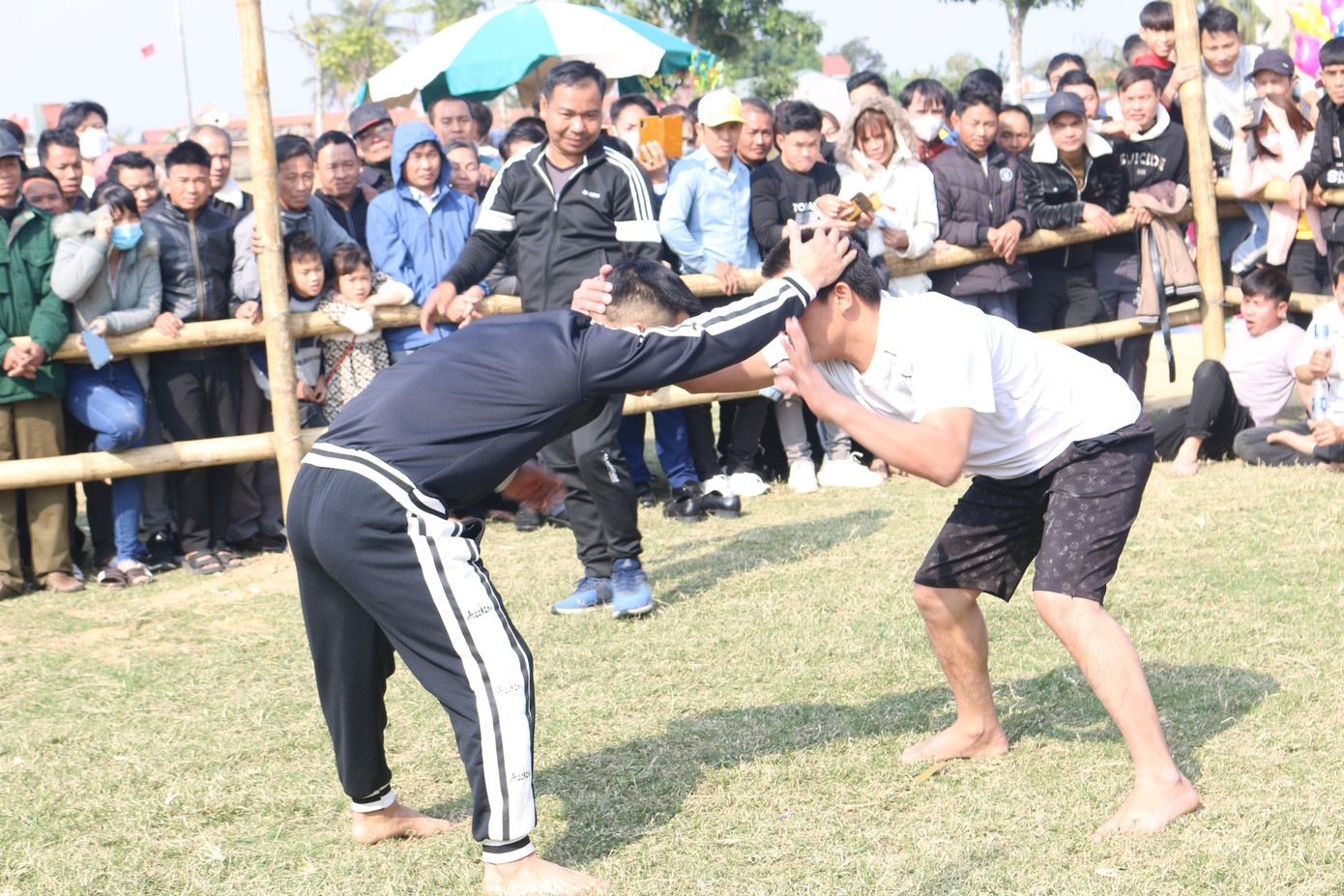 Phần lớn các đô vật tham gia hội vật truyền thống năm nay ở xã Hoằng Phong, huyện Hoằng Hoá là nam, nữ thanh niên.