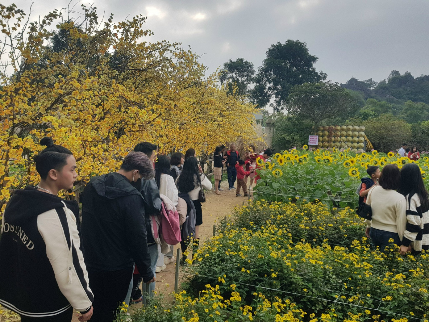 Điểm du lịch Động Tiên Sơn (phường Hàm Rồng, TP Thanh Hoá) được đầu tư nhiều tiểu cảnh, thu hút khách ở nhiều lứa tuổi khác nhau đến tham quan vào ngày đầu năm.