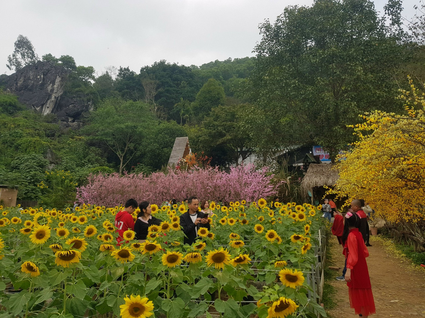 Người lớn, trẻ nhỏ đều mong muốn lưu lại những hình ảnh đầu năm mới của mình tại điểm vui chơi.