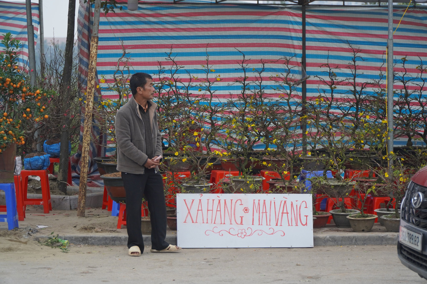 Treo biển hạ giá mai vàng