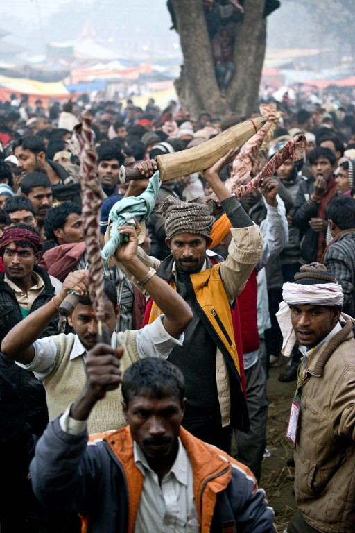 [ẢNH] Hàng ngàn gia súc bị giết để tế thần ảnh 8