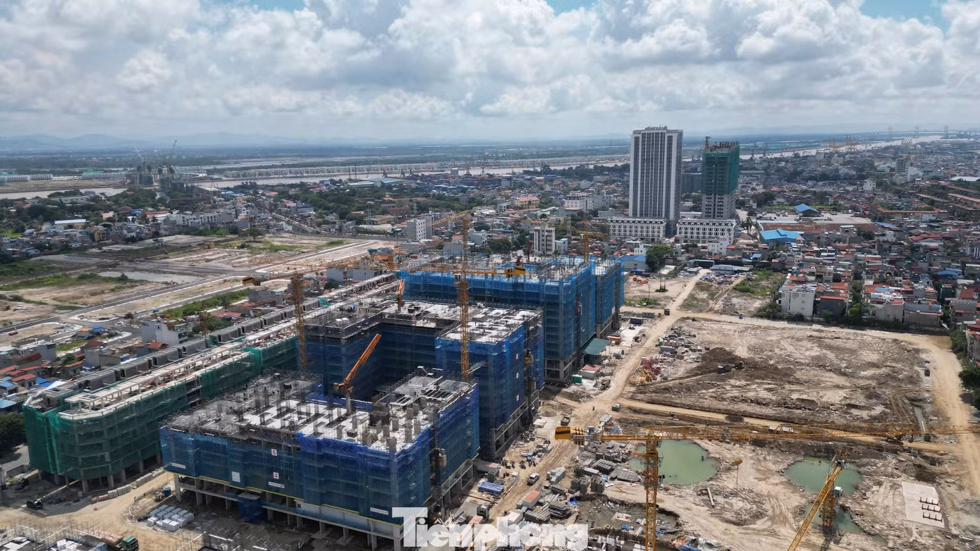 Dự án có vị trí đắc địa, được xem là khu "đất vàng" của TP Hải Phòng với diện tích sử dụng đất gần 17ha. Dự án có quy mô gồm 10 block nhà chung cư cao 15 tầng với khoảng 4.448 căn hộ và 163 căn nhà ở thương mại thấp tầng (6 tầng + 1 tum). Dự án có vị trí đắc địa, được xem là khu "đất vàng" của TP Hải Phòng với diện tích sử dụng đất gần 17ha. Dự án có quy mô gồm 10 block nhà chung cư cao 15 tầng với khoảng 4.448 căn hộ và 163 căn nhà ở thương mại thấp tầng (6 tầng + 1 tum).