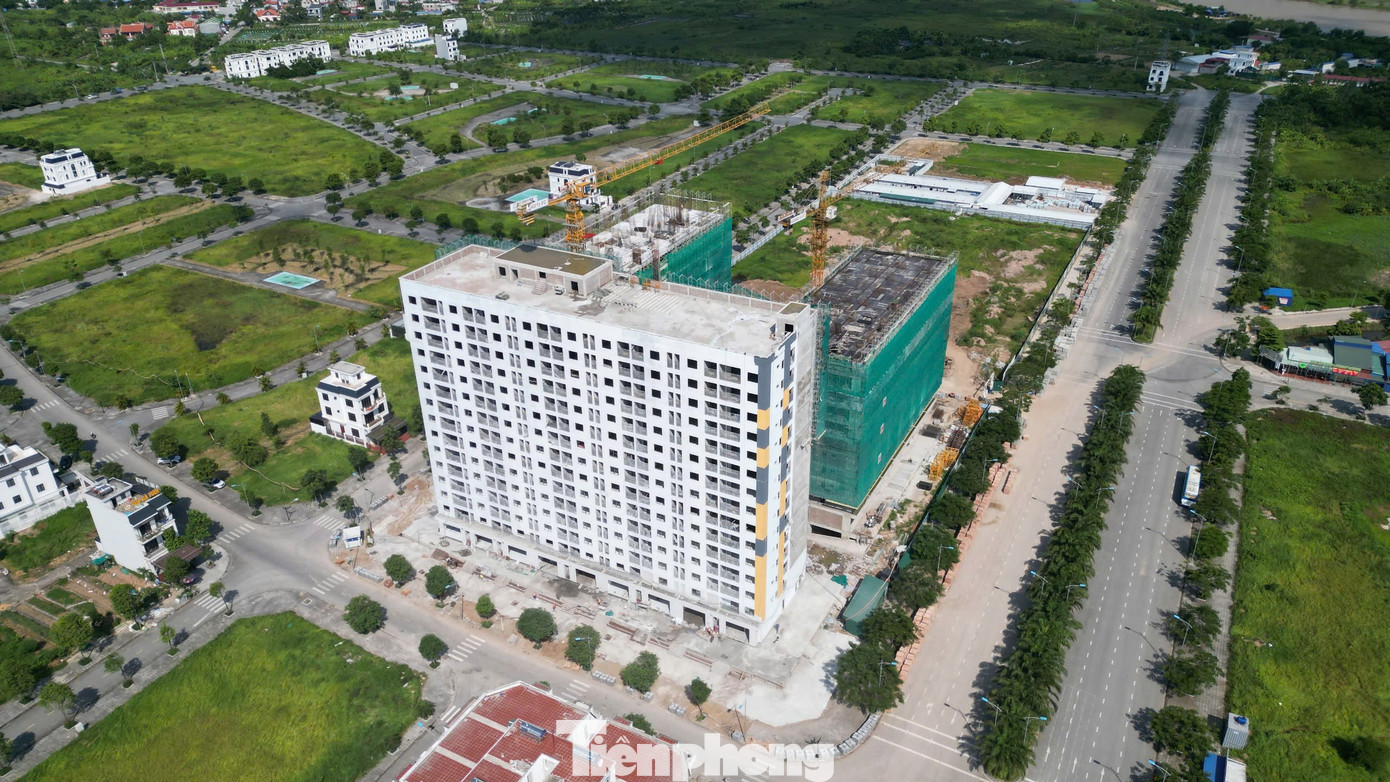 Dự án với 10 tòa chung cư cao 15 tầng, đảm bảo chỗ ở cho hơn 9.000 lao động, với mô hình xây dựng nhà ở xã hội trong lòng khu đô thị kết hợp cùng khu công nghiệp. Tổng mức đầu tư dự án hơn 1.594 tỷ đồng. Theo ghi nhận, dự án đã cất nóc tòa CT1 (296 căn), dự kiến bàn giao cho người dân cuối năm 2024. Chủ đầu tư đang thi công tòa CT5 (236 căn) và tòa CT6 (236 căn)...