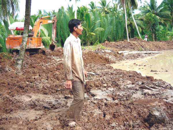 Anh Thái Ngọc Vũ cay đắng nhìn vườn dừa vừa phá bỏ để chuyển sang trồng lác. Anh Thái Ngọc Vũ cay đắng nhìn vườn dừa vừa phá bỏ để chuyển sang trồng lác