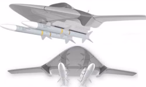 Lý do quân đội Mỹ muốn UAV sử dụng một lần ảnh 2