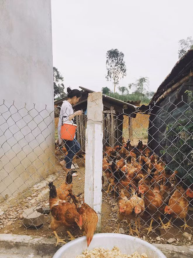 Cô gái “đi lạc vào chuồng gà“ bỗng nhiên nổi tiếng ảnh 3