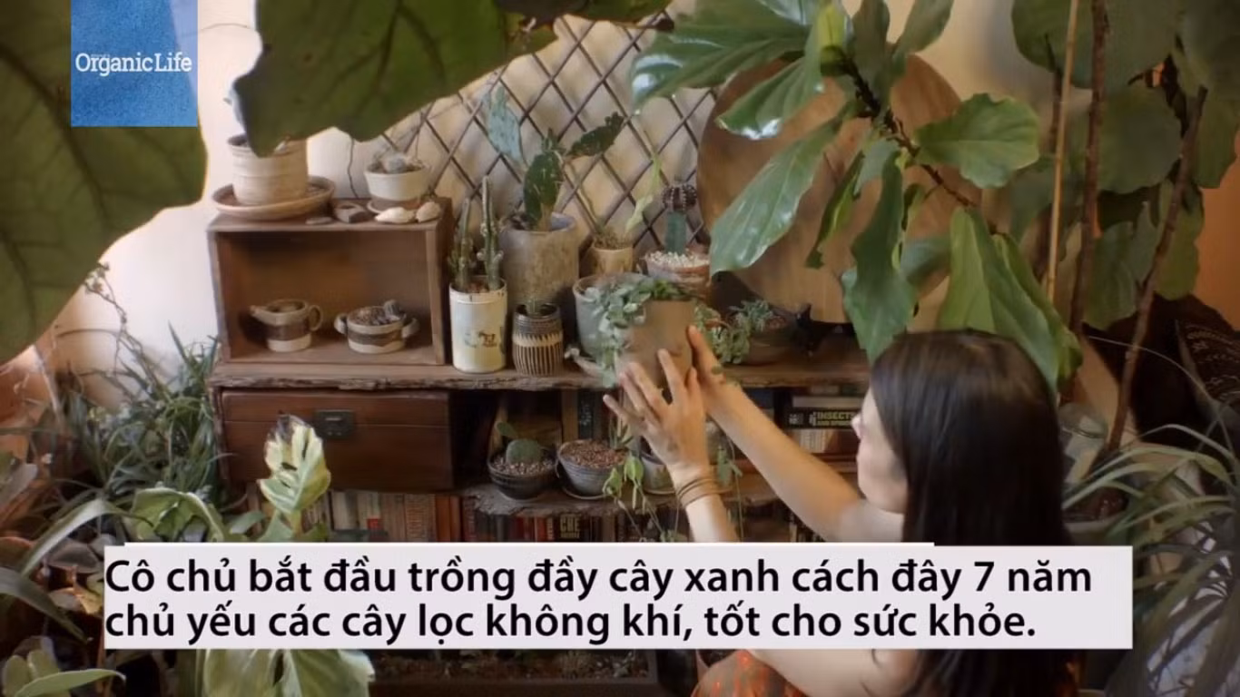 Thực phẩm giải nhiệt mùa hanh nắng ảnh 1 Thực phẩm giải nhiệt mùa hanh nắng ảnh 1