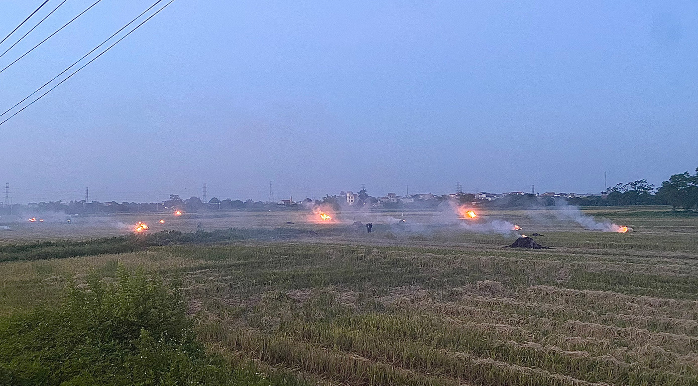 Trên những cánh đồng, bà con nông dân bắt đầu nổi lửa đốt rơm rạ.
