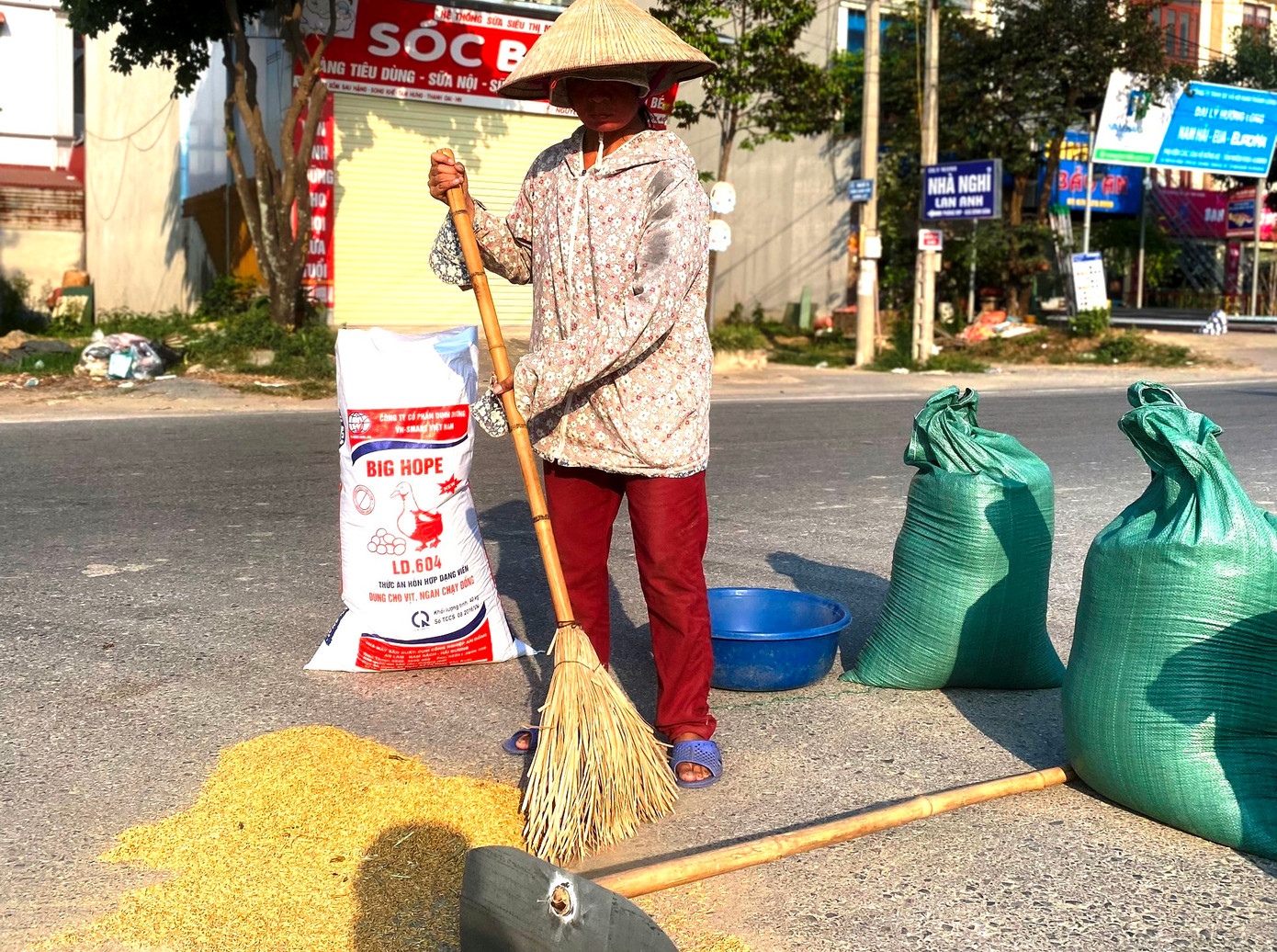 "Vì trong sân chật quá, không có chỗ phơi! Nếu thấy có xe đến thì mình chỉ cần né né đi là được", chị Mai, một người dân sống tại xã Tam Hưng (huyện Thanh Oai, Hà Nội) chia sẻ.
