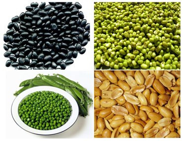  Ăn nhiều các loại đậu đỗ sẽ tạo hơi trong dạ dày