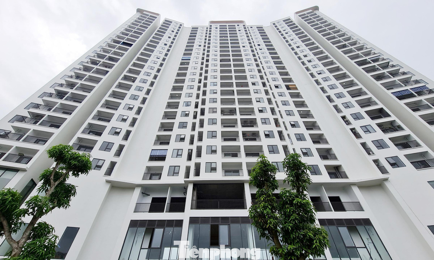 Về thông tin, khách hàng về ở tại dự án tiềm ẩn nhiều nguy cơ mất an toàn, vị này cho biết sẽ kiểm tra, nếu có tình trạng này sẽ báo cáo huyện và xử lý theo quy định. Đồng thời, yêu cầu chủ đầu tư dừng việc bàn giao các căn hộ đưa vào sử dụng khi chưa có các văn bản chấp thuận kết quả nghiệm thu của cơ quan chức năng.