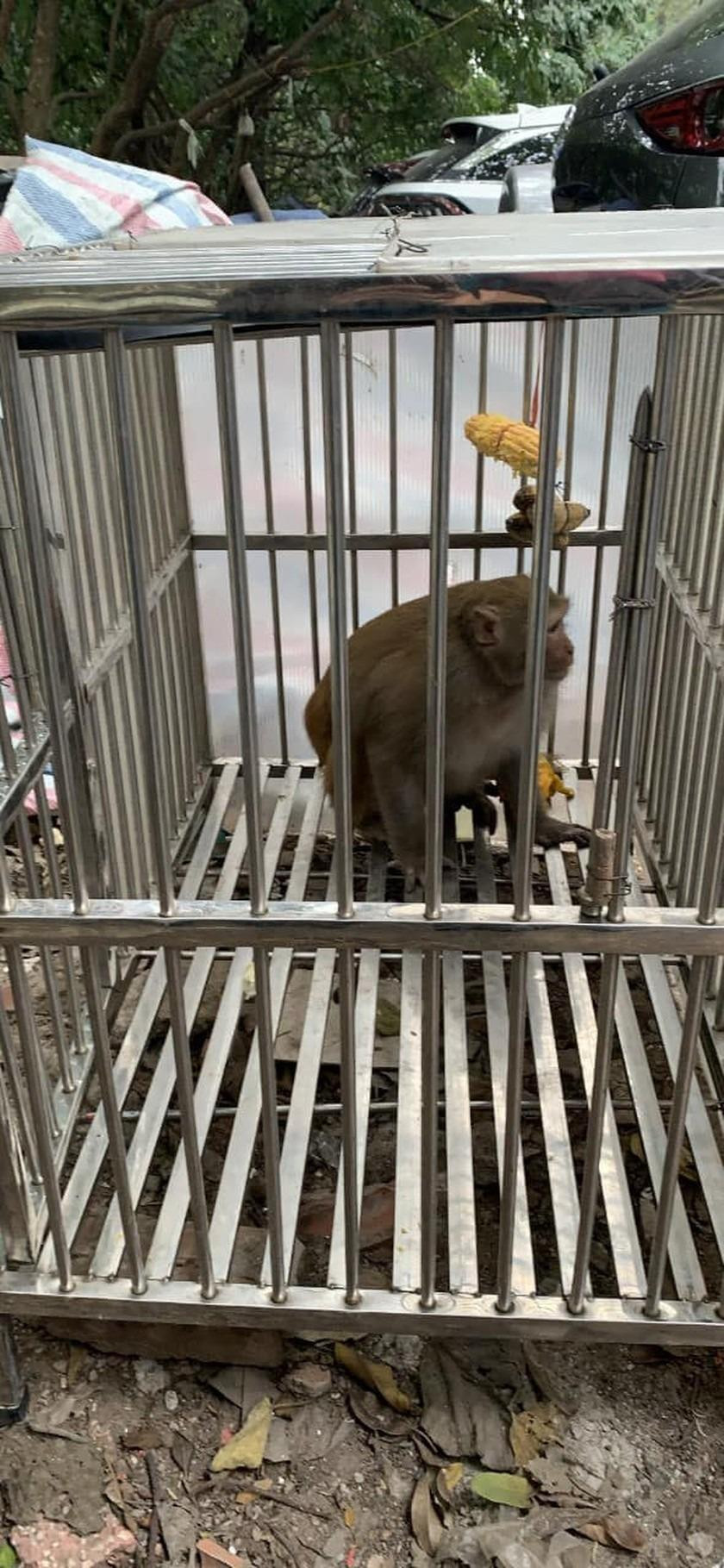 Ảnh: Luân Nguyễn