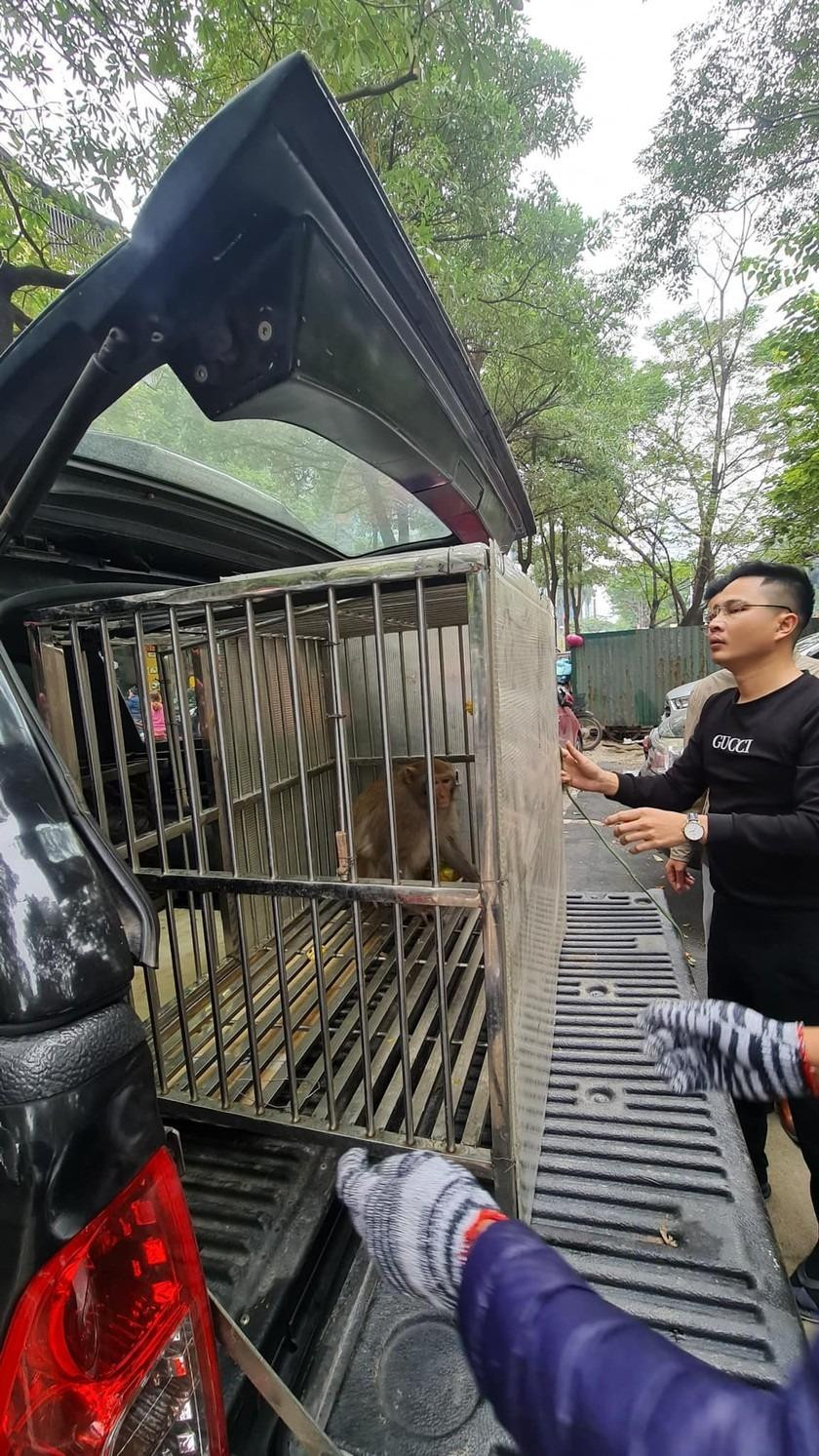 Ảnh: Luân Nguyễn