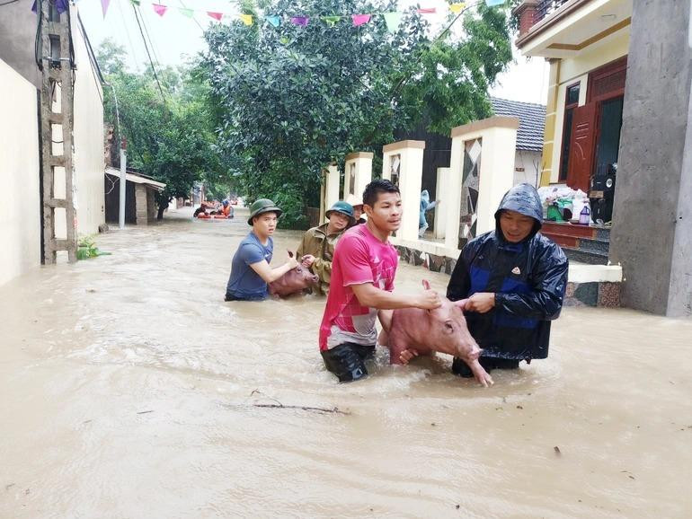 Lực lượng quân đội, Công an huyện Tam Đảo vượt dòng lũ đưa tài sản, vật nuôi của người dân tổ dân phố Cửu Yên 1, 2 đến nơi an toàn. Ảnh: Hải Yến.