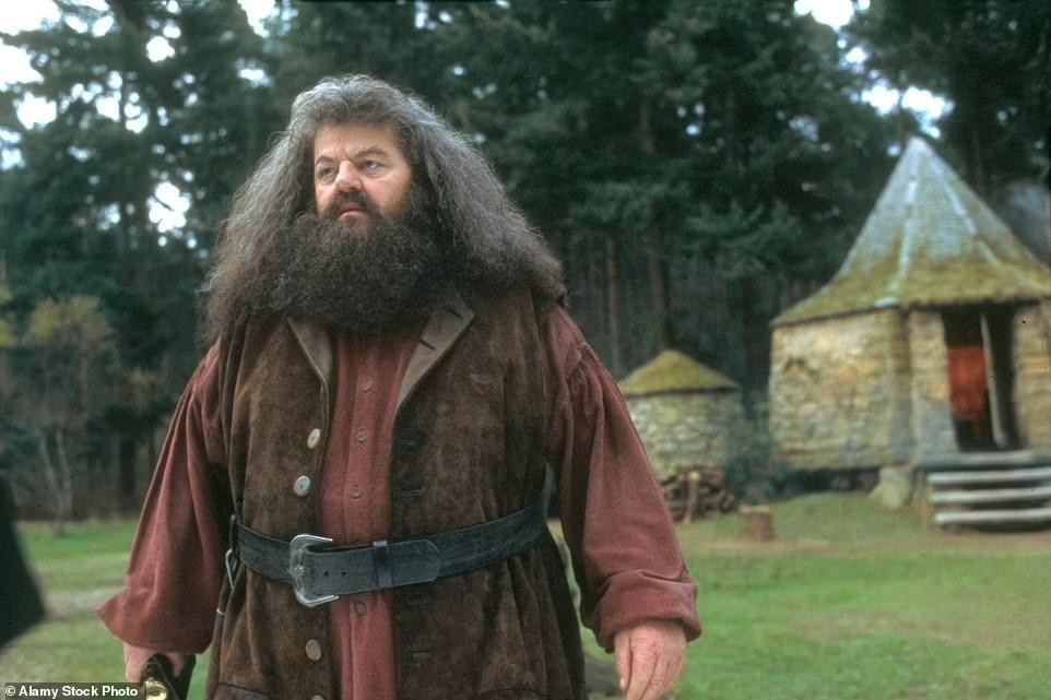 Dàn diễn viên Harry Potter đau buồn khi hay tin "bác Hagrid" qua đời. Ảnh: Daily Mail. Dàn diễn viên Harry Potter đau buồn khi hay tin "bác Hagrid" qua đời. Ảnh: Daily Mail.