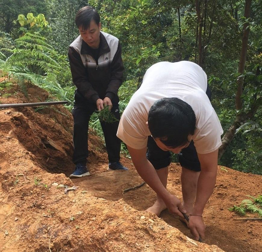 Cán bộ phòng Văn hóa và Thông tin huyện Mù Cang Chải và cán bộ xã Chế Cu Nha kiểm tra thực địa tại khu vực phát hiện những khối đá khắc cổ. (Ảnh: TTXVN phát)