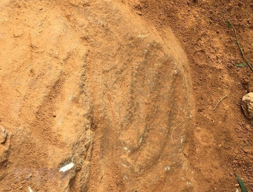 Tại vị trí phát hiện khối đá khắc cổ có khá nhiều các khối đá sa thạch thể khối lớn, từ 1-20m3. (Ảnh: TTXVN phát)