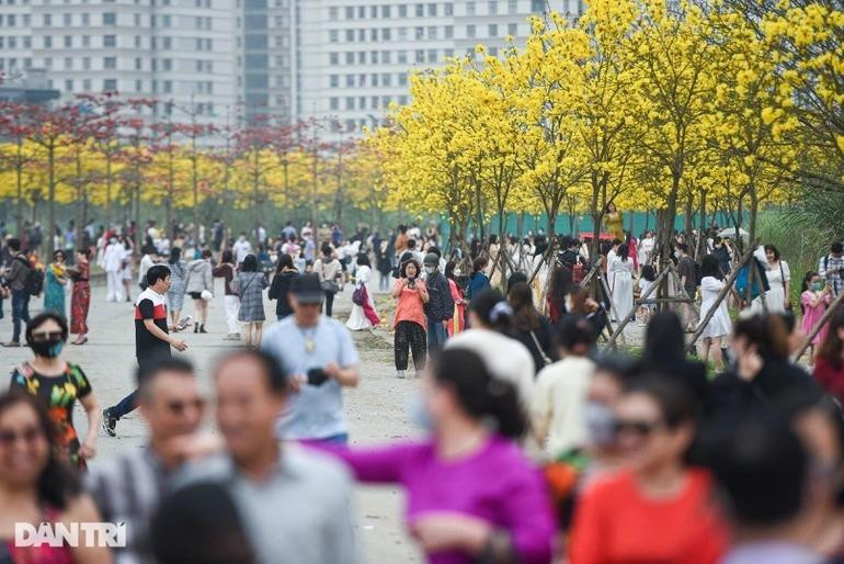 Hàng nghìn người chen chân chật kín con đường hoa phong linh những ngày qua (Ảnh: Toàn Vũ).