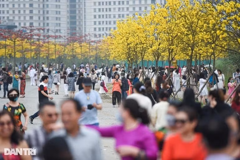 Hàng nghìn người chen chân chật kín con đường hoa phong linh những ngày qua (Ảnh: Toàn Vũ).