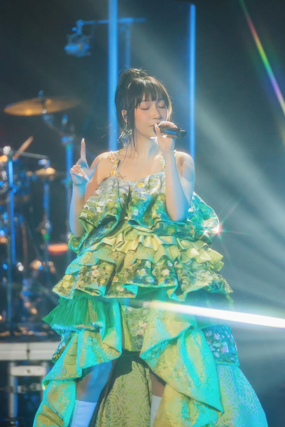 Mỹ Anh xuất hiện với trang phục xinh đẹp. Phần biểu diễn đã được ghi hình trước đó. Ảnh: FBNV