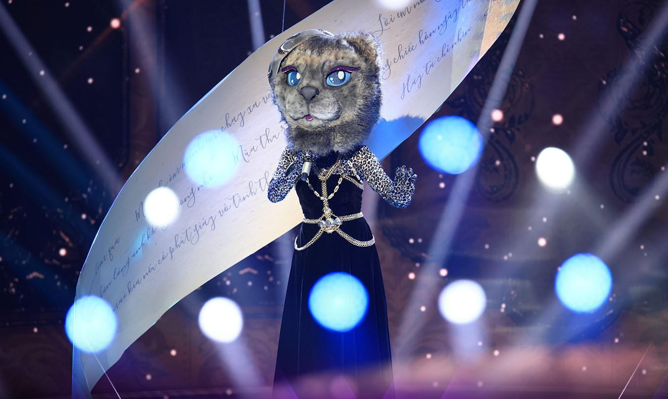 Thân phận thật sự của Báo Mắt Biếc gây tò mò. Thân phận thật sự của Báo Mắt Biếc gây tò mò.