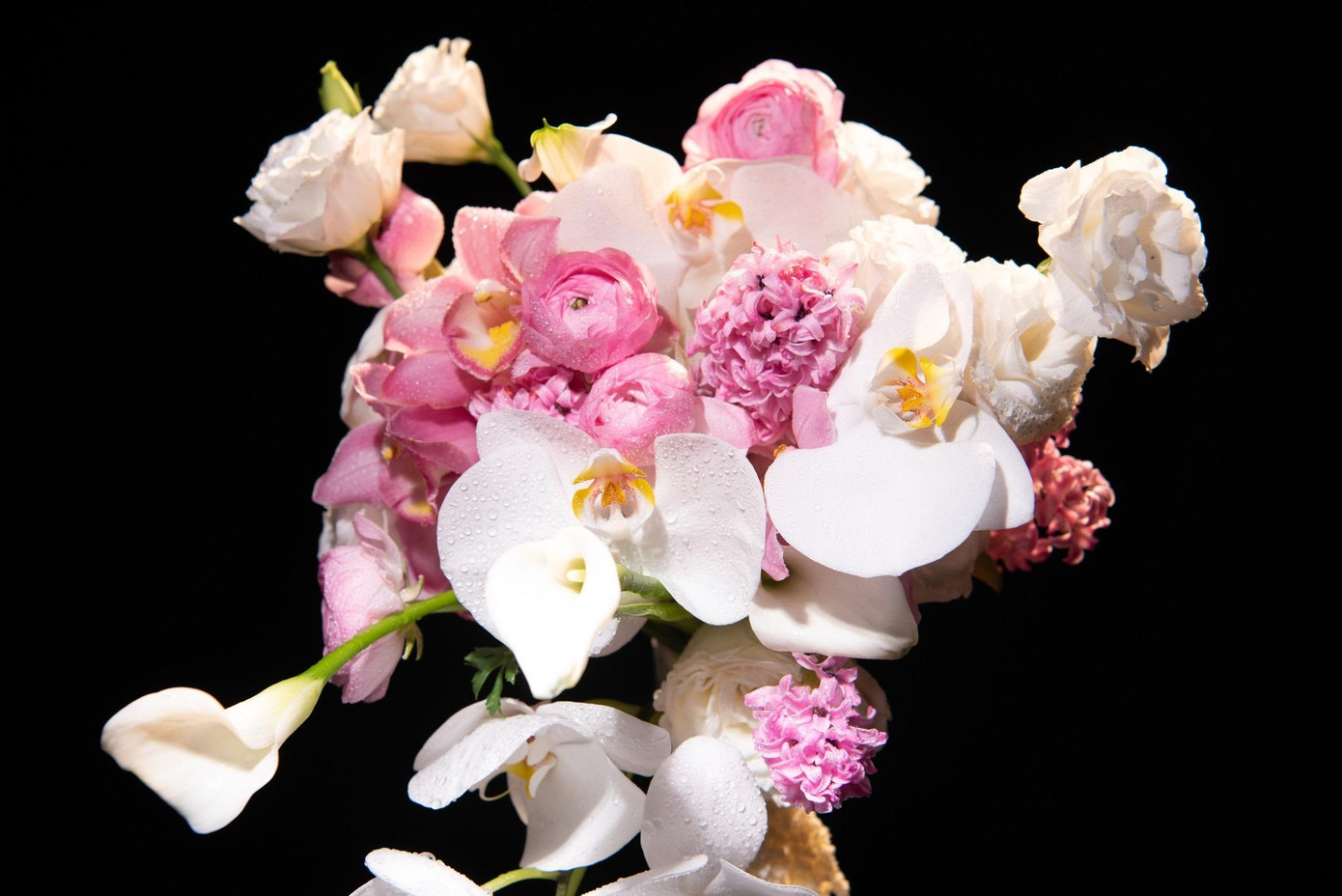 Hoa đăng quang của Hoa hậu Việt Nam 2022 mang ý nghĩa đặc biệt. “Tinh khôi” là sự kết tinh của nhiều hương sắc: Hồ điệp trắng, mao lương hồng, mẫu đơn hồng, địa lan hồng, cát tường trắng, dền rủ hồng, calla lily trắng. Tất cả mang nét đẹp thanh thoát, mềm mại, tinh khôi, đại diện cho vẻ đẹp thanh tân và rạng ngời của tân hoa hậu, đồng thời gửi gắm niềm hy vọng mang đến sự may mắn, thành công cho nhan sắc Việt Nam.