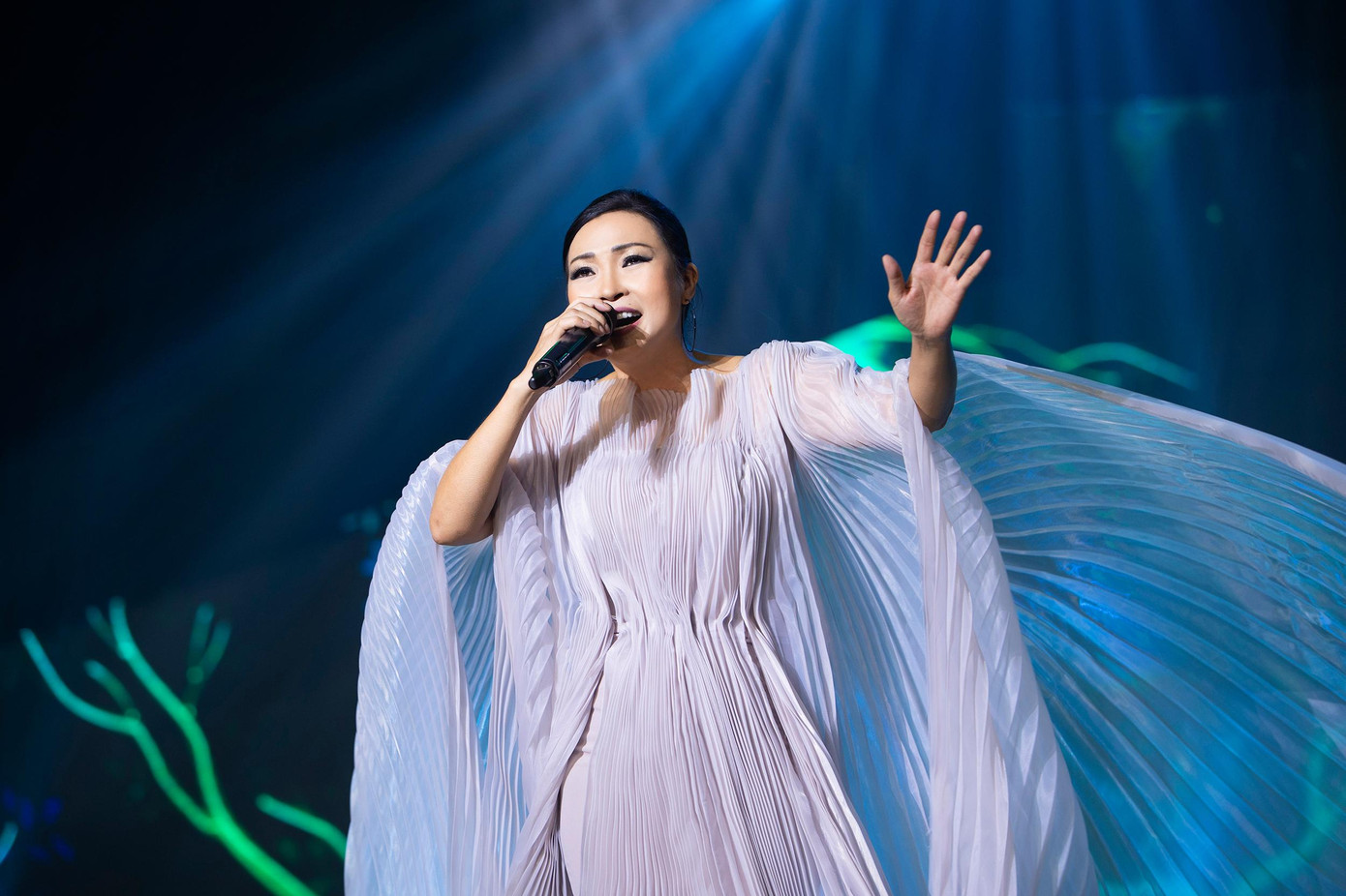 Nữ ca sĩ dịu dàng với chiếc hoa cúc trắng cài tóc, thanh lịch. Nữ ca sĩ dịu dàng với chiếc hoa cúc trắng cài tóc, thanh lịch.