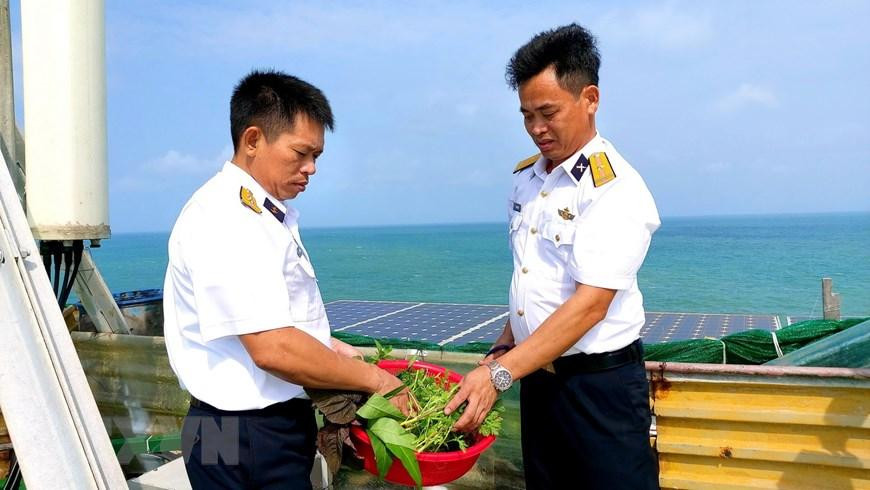 Hái rau nấu canh cho mâm cơm Tết. (Ảnh: Thu Hiền/TTXVN) Hái rau nấu canh cho mâm cơm Tết. (Ảnh: Thu Hiền/TTXVN)