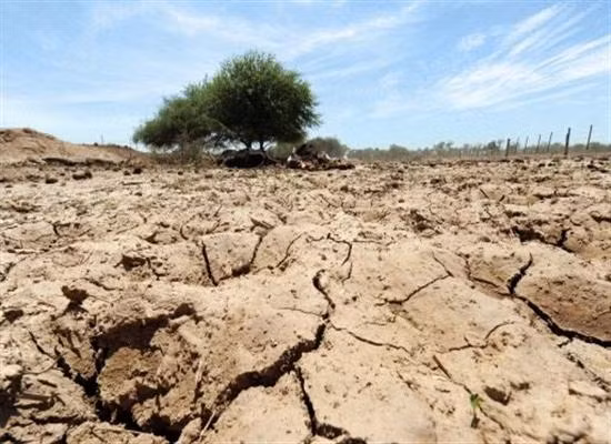 Lương thực toàn cầu đối mặt thách thức khi El Nino xuất hiện 