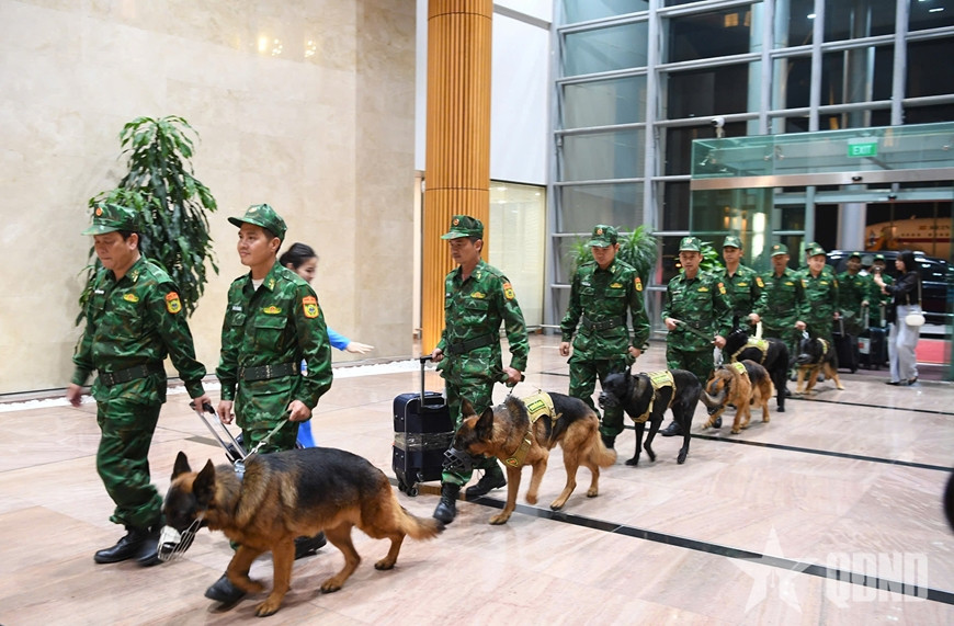 Các lực lượng cứu hộ, cứu nạn Quân đội Nhân dân Việt Nam đã thực hiện tốt nhiệm vụ được giao. Ảnh: Báo Quân đội Nhân dân. Các lực lượng cứu hộ, cứu nạn Quân đội Nhân dân Việt Nam đã thực hiện tốt nhiệm vụ được giao. Ảnh: Báo Quân đội Nhân dân.