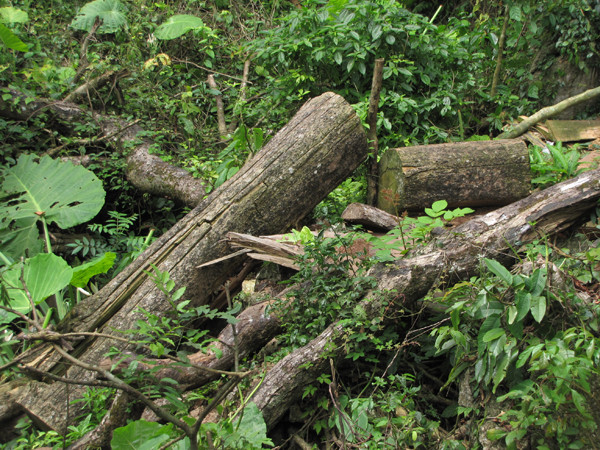 Ảnh: Tuấn Nguyễn