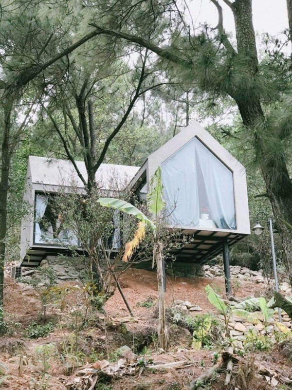 Ấn tượng với ngôi nhà 36m2 cheo leo trên đồi thông ở Sóc Sơn ảnh 1