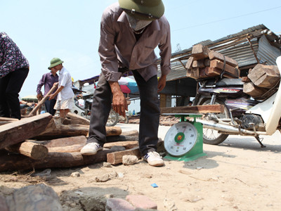 Thoải mái chọn gỗ