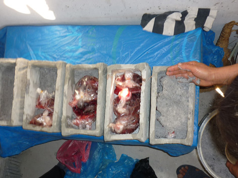 Những hài nhi xấu số