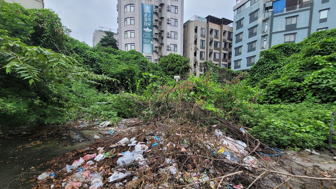 Tuy nhiên, đến nay dự án vẫn là khu đất trống, bỏ hoang cho cỏ dại mọc gây nhếch nhác, mất mỹ quan đô thị.