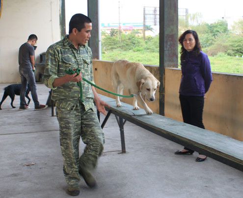 Huấn luyện viên tại trung tâm đang hướng dẫn 'học viên' các kỹ năng cơ bản