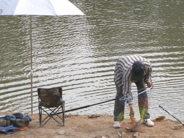 Câu cá bên đại lộ Thăng Long. Có thể ra đại lộ Thăng Long câu cá.