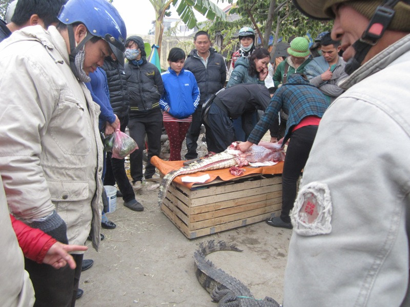 Hai vợ chồng anh Dũng đang xẻ thịt con cá sấu bán trước mặt mọi người