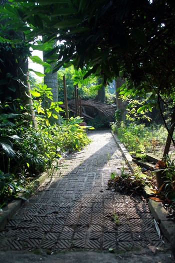 Sinh thời, 6 giờ sáng, Đại tướng dậy tập thể dục, đi theo những con đường nhỏ quanh khu vườn