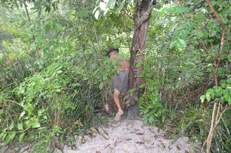 Về nhà, ông phải băng rào, đạp gai để đi vì không có lối vào